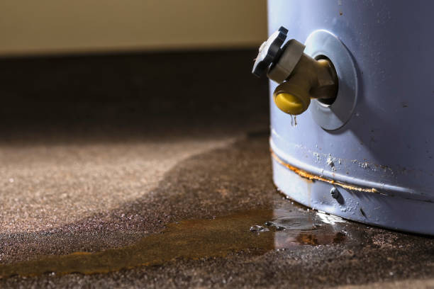Best Basement water damage restoration  in Fort Myers, FL