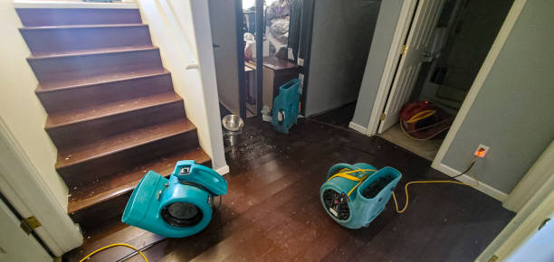 Best Water damage restoration cost  in Fort Myers, FL