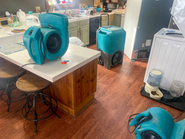 Best Water damage contractors near me  in Fort Myers, FL