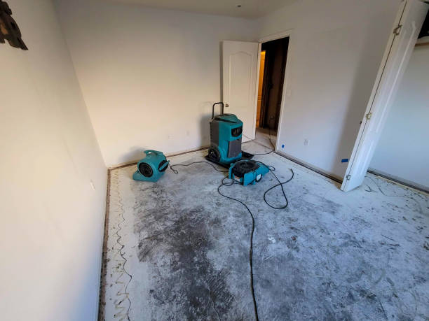 Best Water damage restoration near me  in Fort Myers, FL