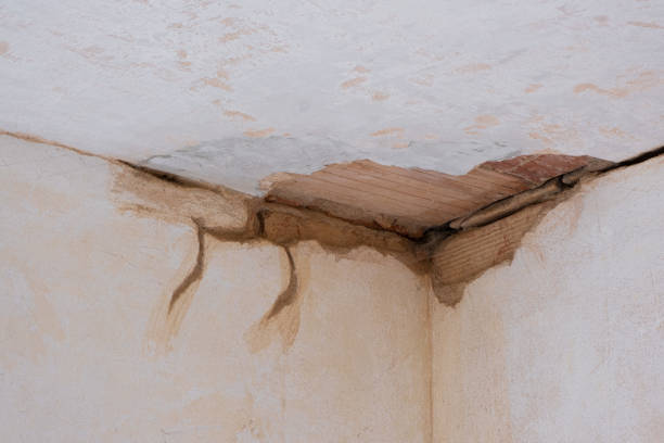 Best Carpet water damage restoration  in Fort Myers, FL