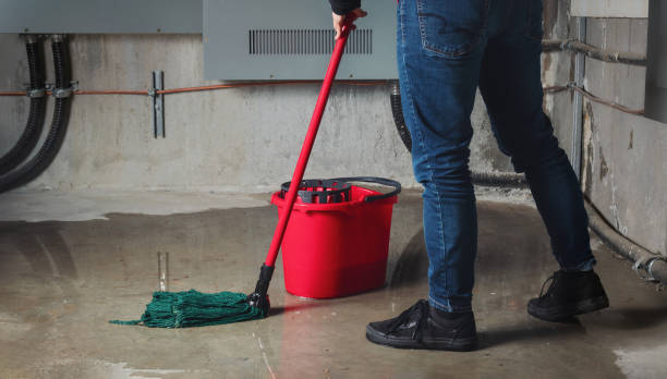 Best Commercial water damage restoration  in Fort Myers, FL