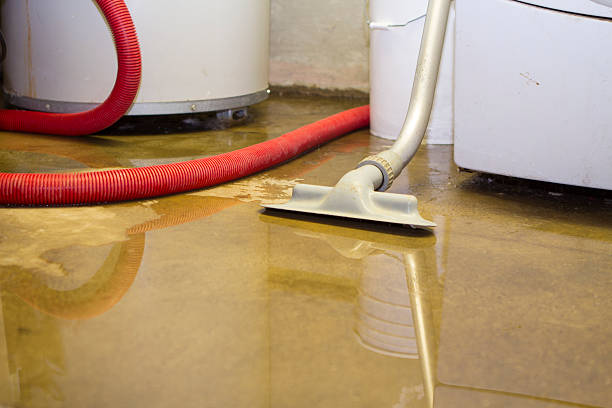 Best 24/7 water damage repair  in Fort Myers, FL