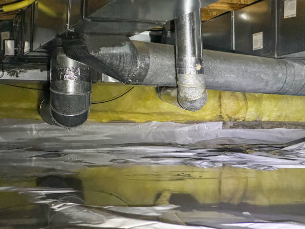 Sewage cleanup and water damage restoration in FL