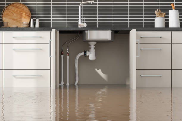 Best Flooded house restoration  in Fort Myers, FL