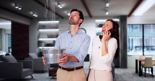 Best Basement water damage restoration  in Fort Myers, FL