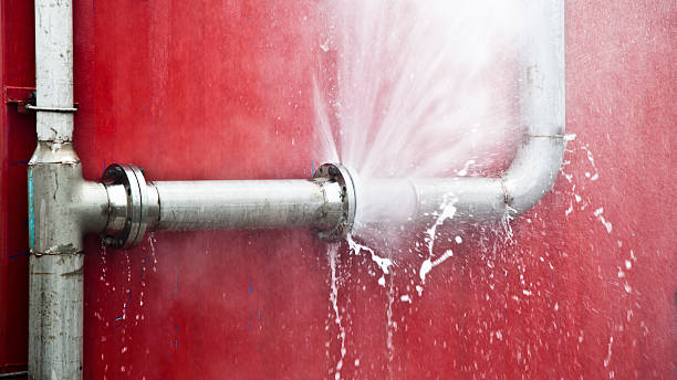 Best 24-hour water damage restoration  in Fort Myers, FL