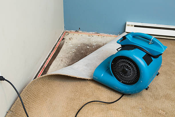 Best Sewage cleanup and water damage restoration  in Fort Myers, FL